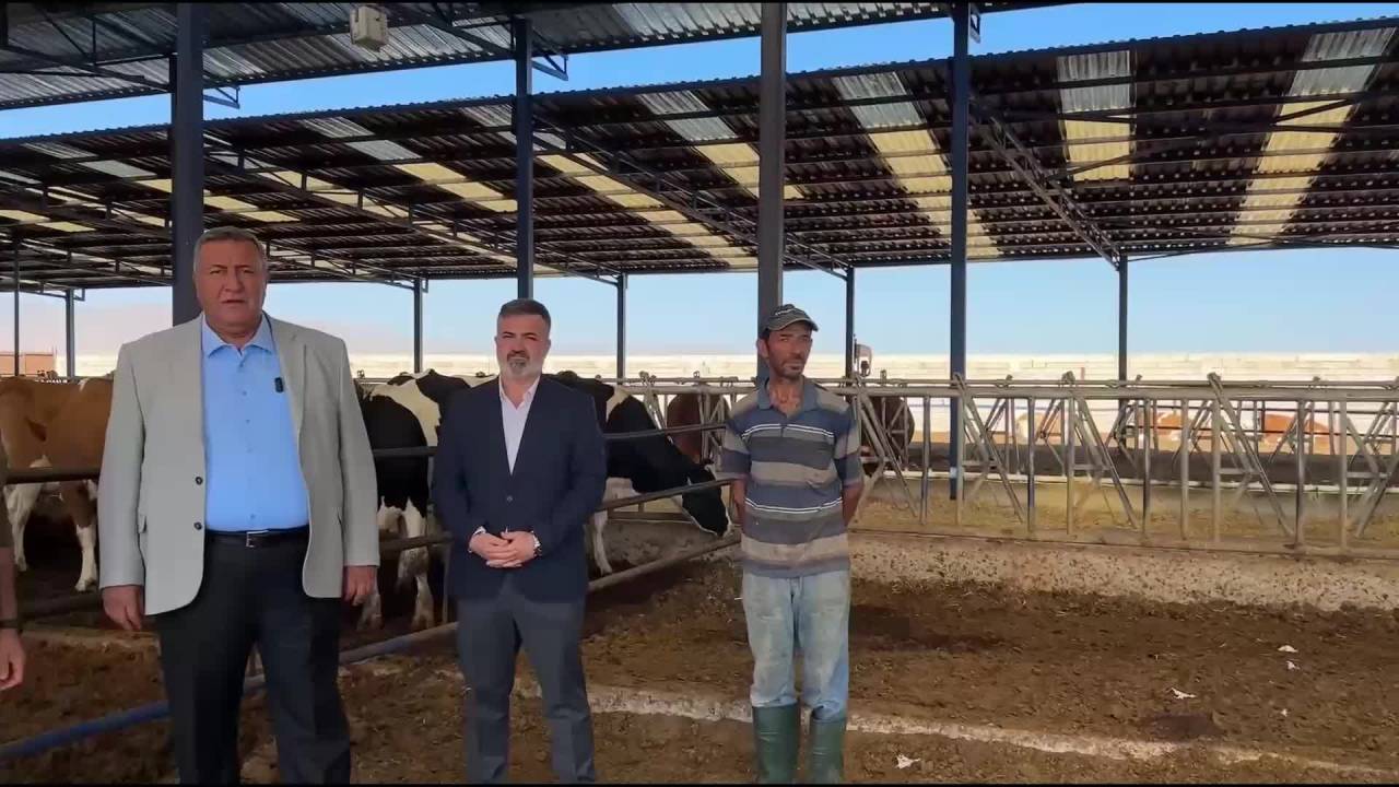 Ömer Fethi Gürer: "Süt İnekleri İçin Tehlike Çanları Çalıyor"