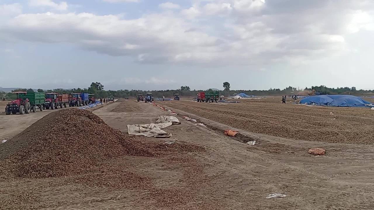 Chp Milletvekili Kaya, "Türkiye'de Esas Beka Sorunu Tarımdır"