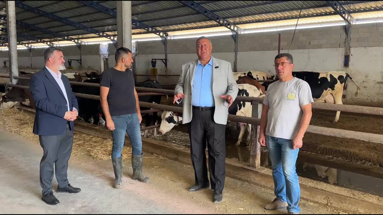 Ömer Fethi Gürer: Tüik'e Göre 4 Yılda İthalata Rağmen Yaklaşık 2 Milyon Civarında Sığır Varlığı Eridi