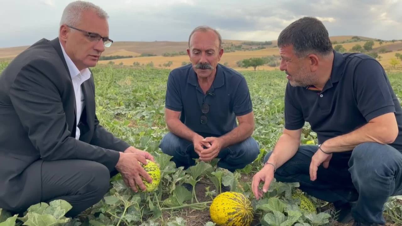 Veli Ağbaba: “Böyle Devam Ederse Gelecek Yıl Malatya'da Da Türkiye'de De Kimse Ekip Biçmeyecek"