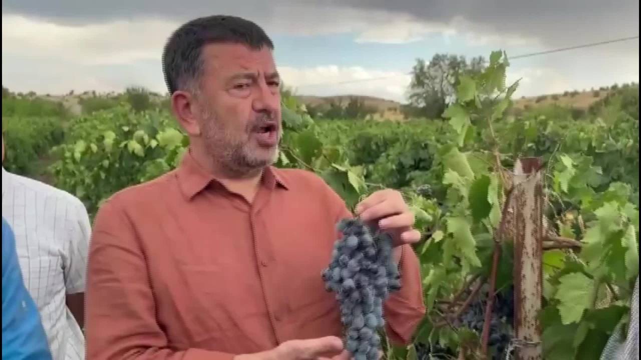 Veli Ağbaba: "Tarım Ve Orman Bakanı Maalesef Tarımdan Bihaber Yaşıyor"