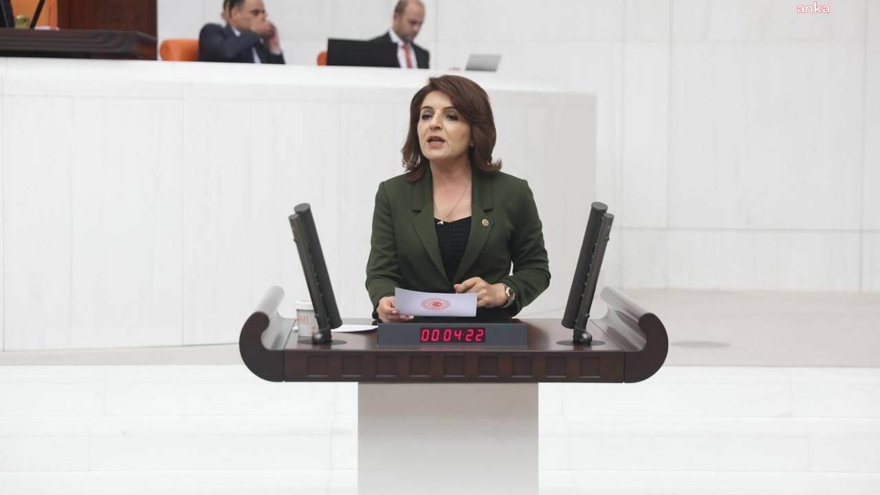 Gülcan Kış:'' İşgücü Uyum Programı, Okullarda Ciddi Bir Hijyen Krizine Yol Açacak''