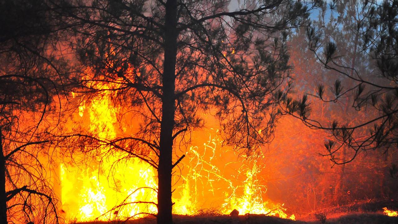 Manisa'da, 5 Gün Arayla 444 Hektar Alan Yandı
