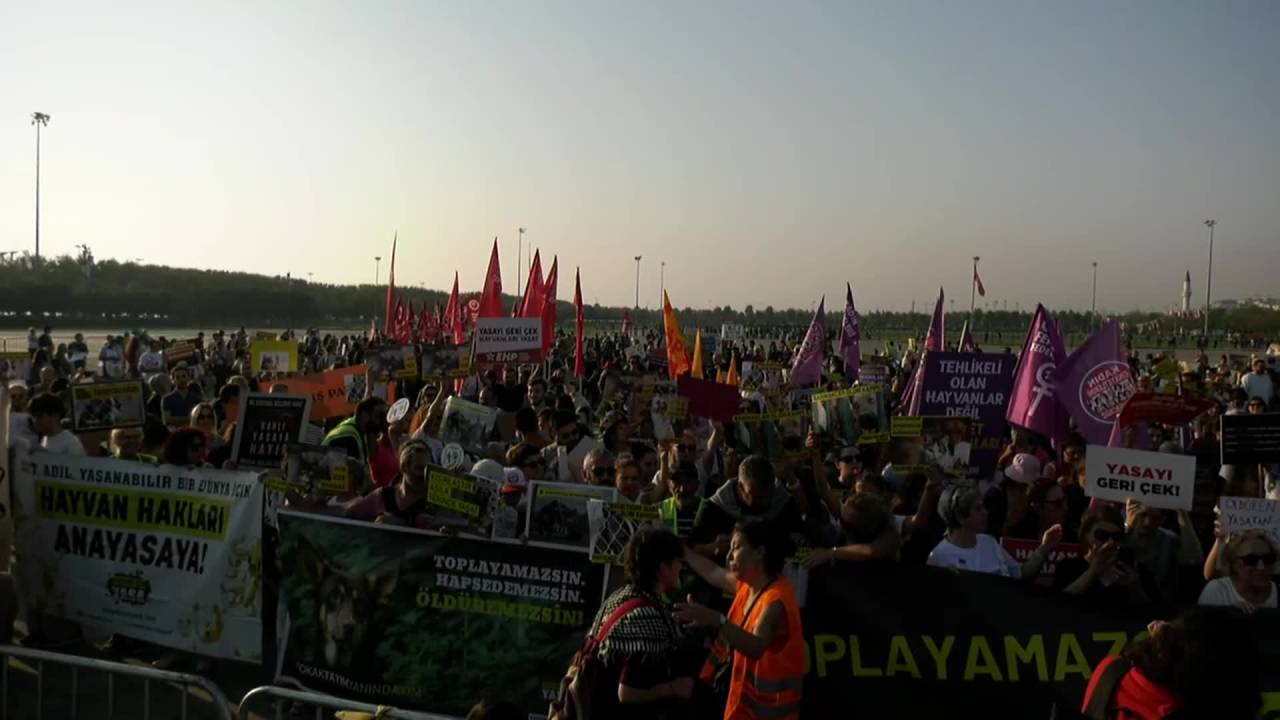 Yaşam Hakkı Savunucuları Maltepe'de: "Katliam Yasasını İptal Edin"