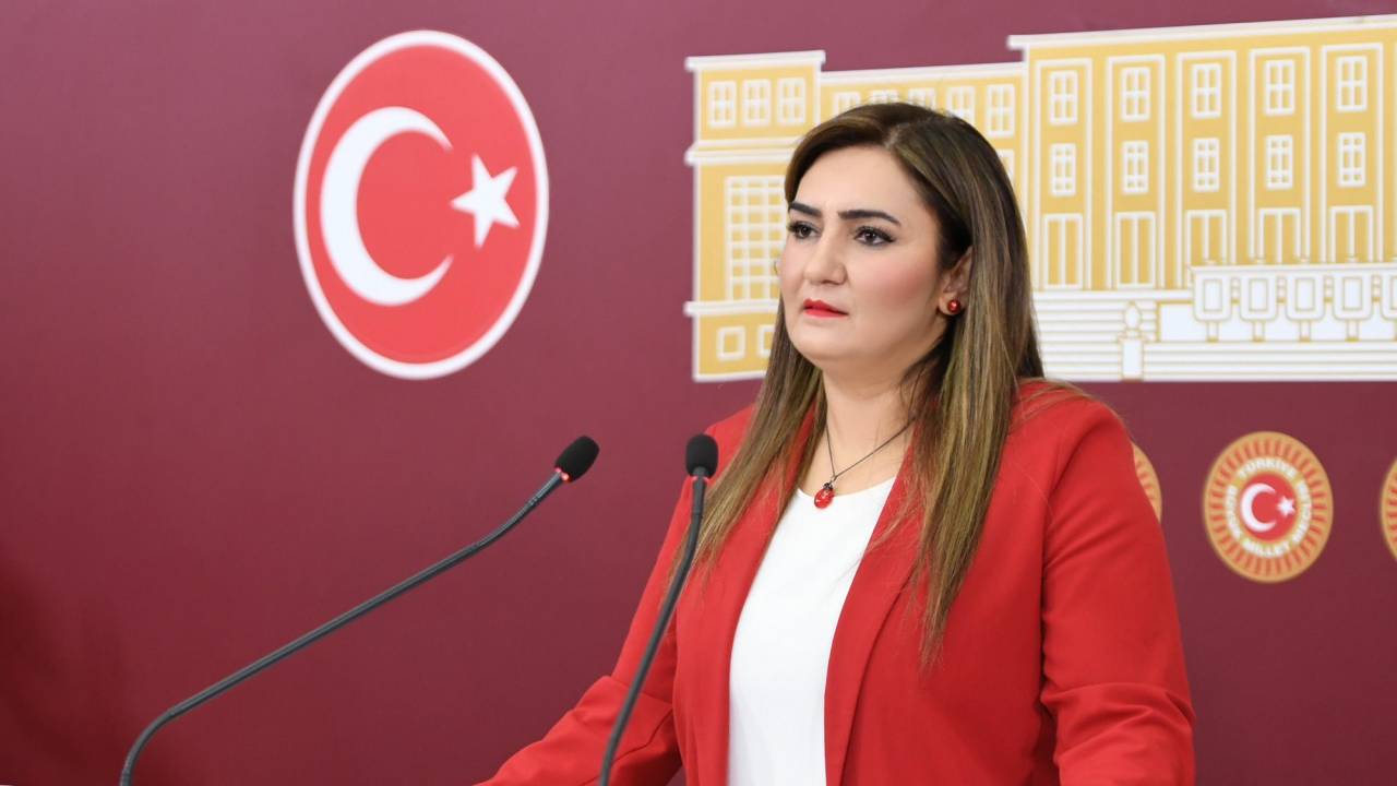 Sevda Erdan Kılıç: ''kök Hücre Nakli Bekleyen Cem Şahin'in Ölümü Üzerine Soruşturma Başlatıldı"