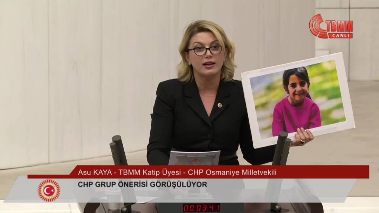 Chp Kadın Kolları Başkanı Asu Kaya: "Politik Tercihlerinizi Çocuklar İçin Kullanın"