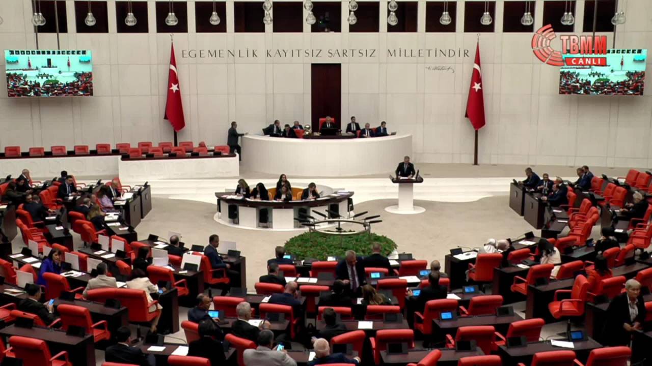 Yenidoğan Bebek Ölümlerinin Araştırılması İçin Meclis Araştırma Komisyonu Kuruldu