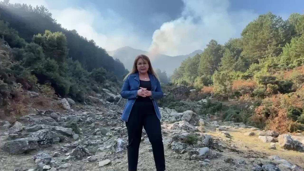 Chp’li Biçer Karaca: Denizli’deki Yangına Müdahale İçin Gece Görüşlü Helikopter Gelmeli