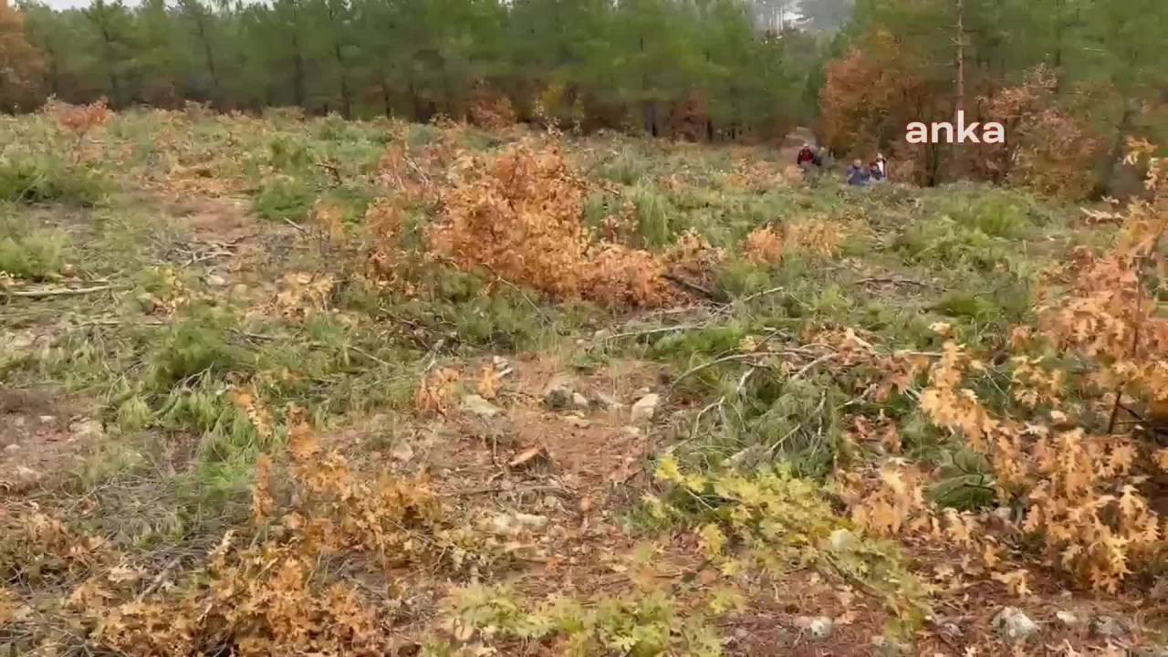 Chp’li Başarır, Cengiz Holding’in Çanakkale Bayramiç‘Teki Hacıbekirler Köyü Şantiye Alanına Ziyaret Etti