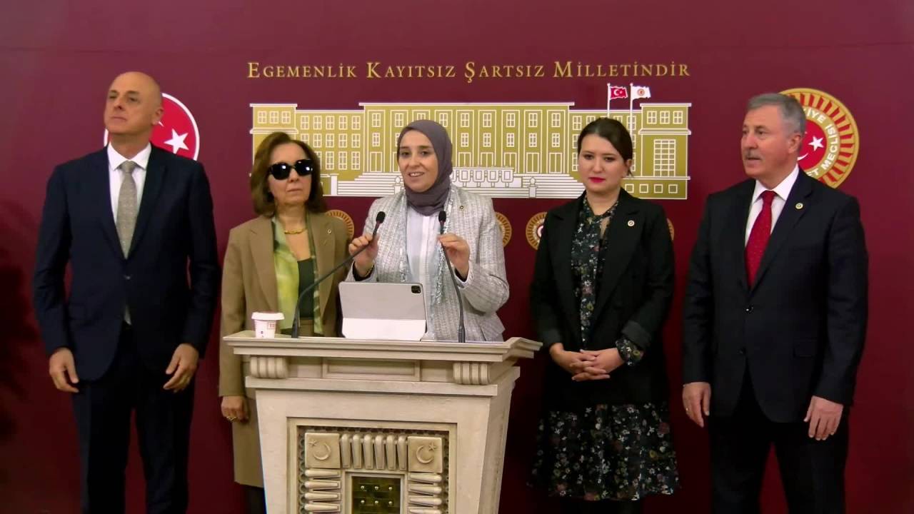Tbmm'de "Çocuk Hareketi" Kuruldu
