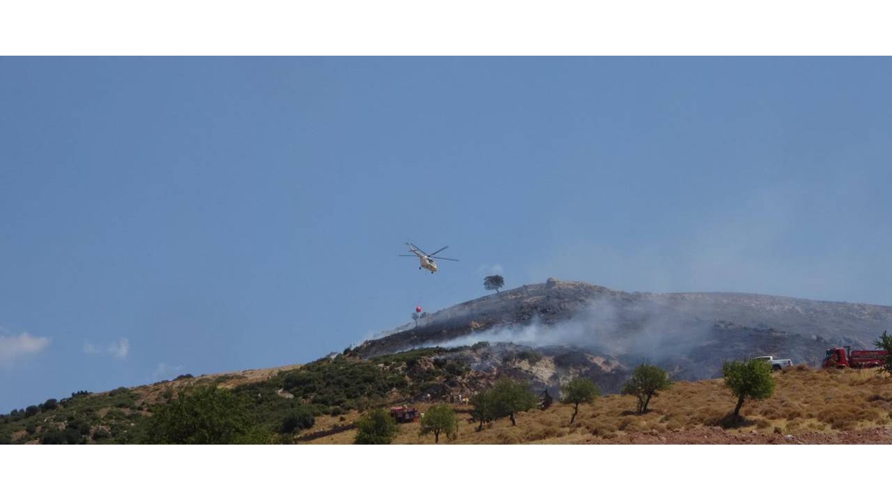 Çanakkale'de Makilik Yangını, Ormana Sıçradı
