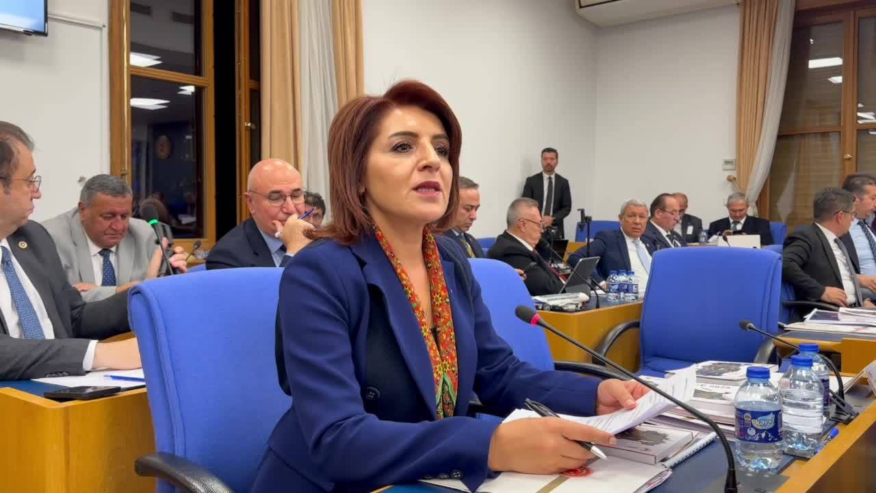 Chp'li Kış'tan Bakan Uraloğlu'na: D-400 Karayolu'nda Kaybedeceğimiz Her Canın Sorumlusu Akp İktidarıdır