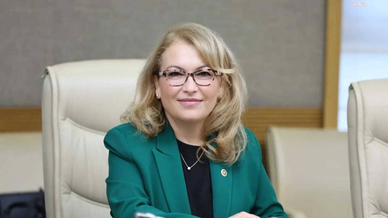 Chp’li Yankıömeroğlu: "Şiddete Uğrayan Engelli Bireylerin Adalete Erişimleri Güç"