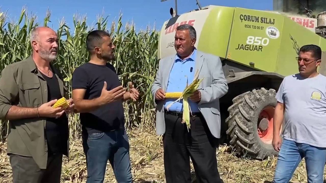 Chp'li Gürer: "İktidar, Çiftçinin Ürününü Değerinde Satmasının Önünü Kesip Yem Sanayicilerinin Yolunu Açtı"