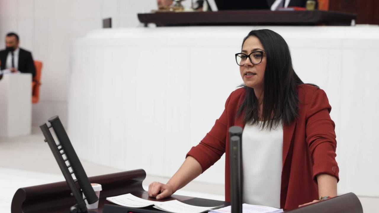 Tbmm Genel Kurulu... Sera Kadıgil'e Kınama Cezası Verildi
