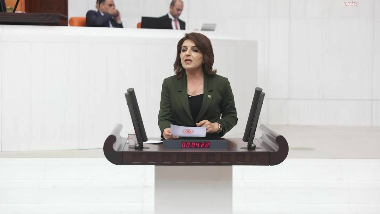 Chp’li Gülcan Kış: “Tasarruf Söylemi Bir Yalandır,  Halkın Alım Gücü Eritiliyor”