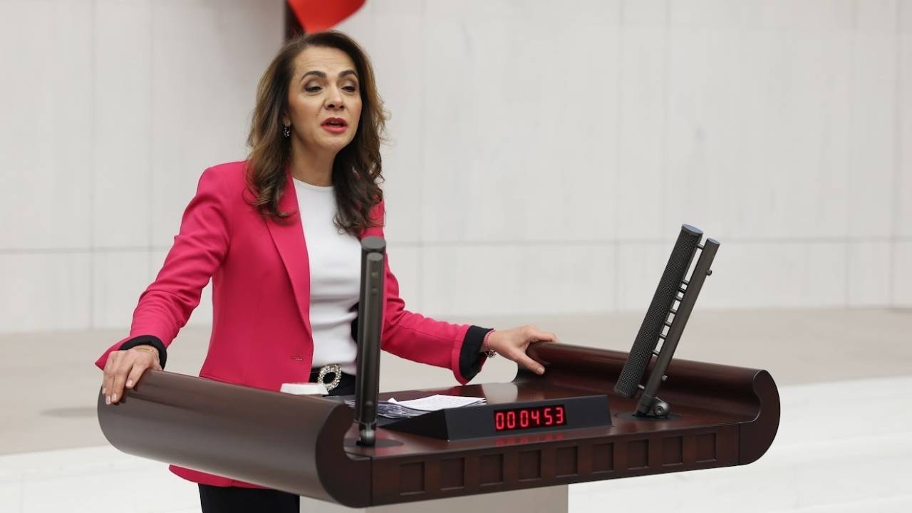 Chp'li İlgezdi: "Bebekler Yoksulluk İçerisinde Doğuyor"