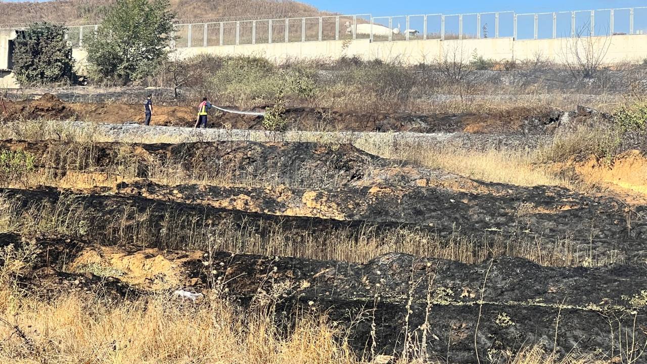 Pendik'te Makilikte Çıkan Yangında 20 Arı Kovanı Zarar Gördü
