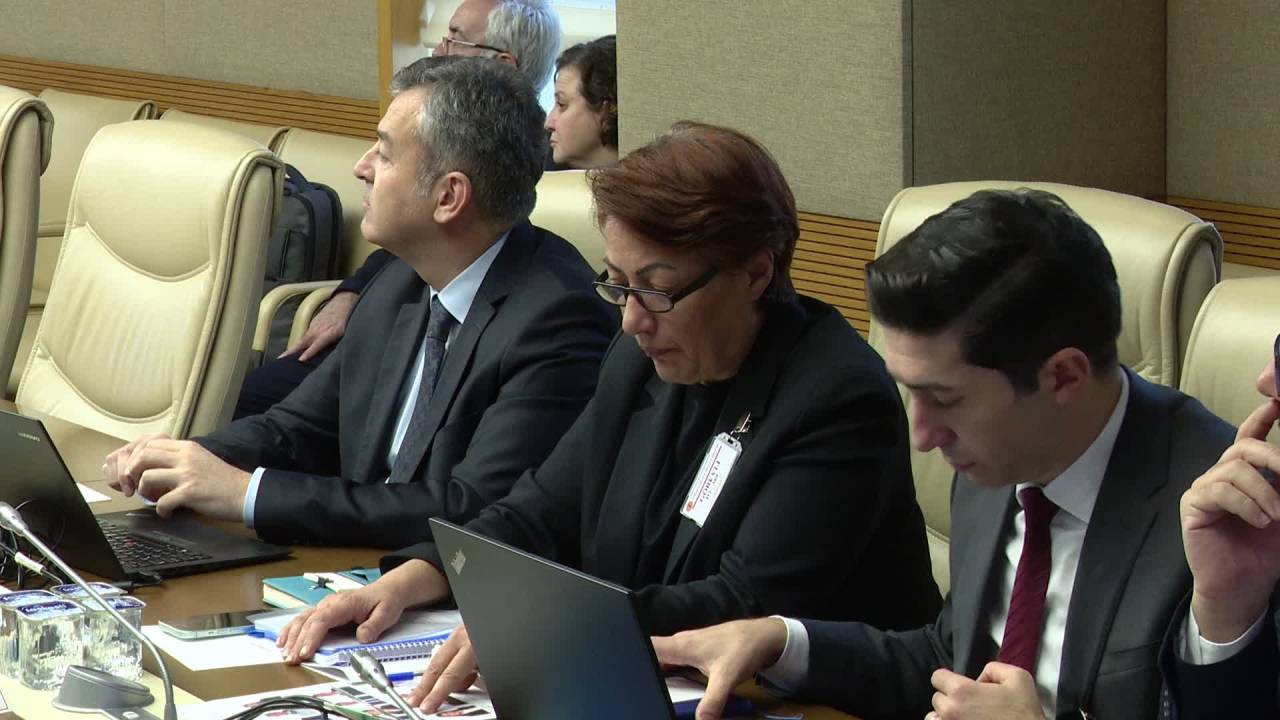 Tbmm Yenidoğan Çetesi Araştırma Komisyonu: Hastanelerin Denetlenmesinde Personel Eksiği Var