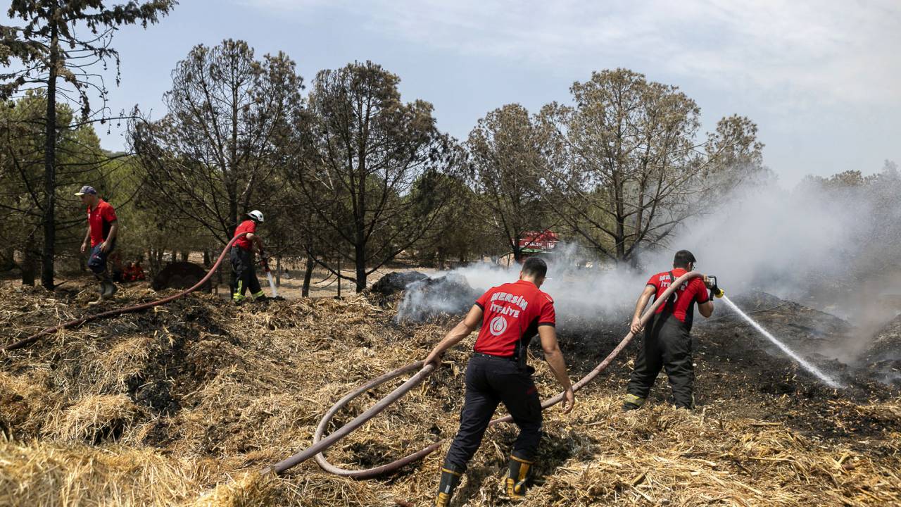 Mersin'de Orman Yakınında Saman Balyaları, Alev Alev Yandı