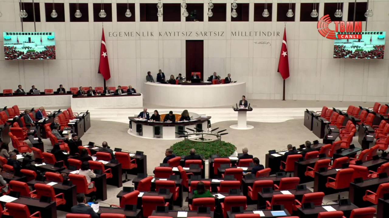 Chp'li Gökçe Gökçen: "Aym'nin İptal Ettiği Düzenlemeler, Yürütme Tarafından Meclis’e Dayatılıyor"