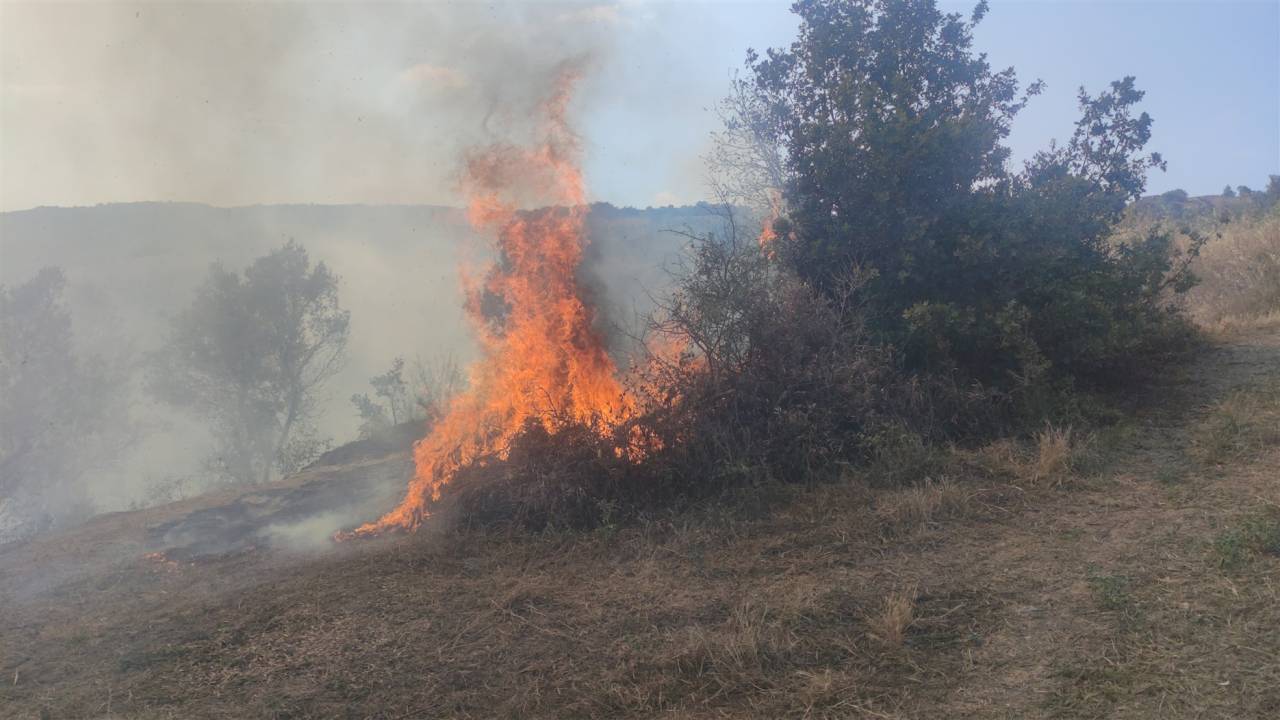 Bursa'da Zeytinlik Yangını