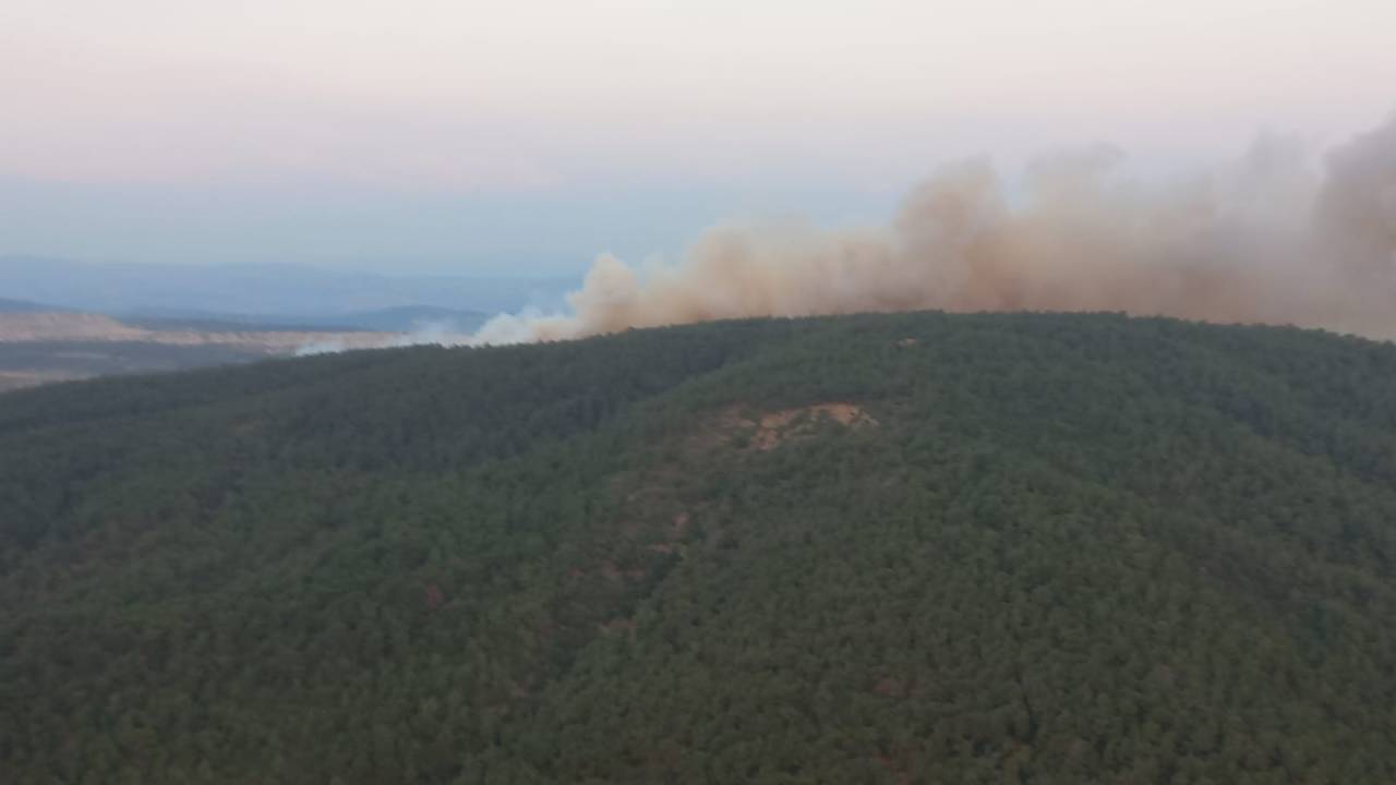 Soma'da Orman Yangını