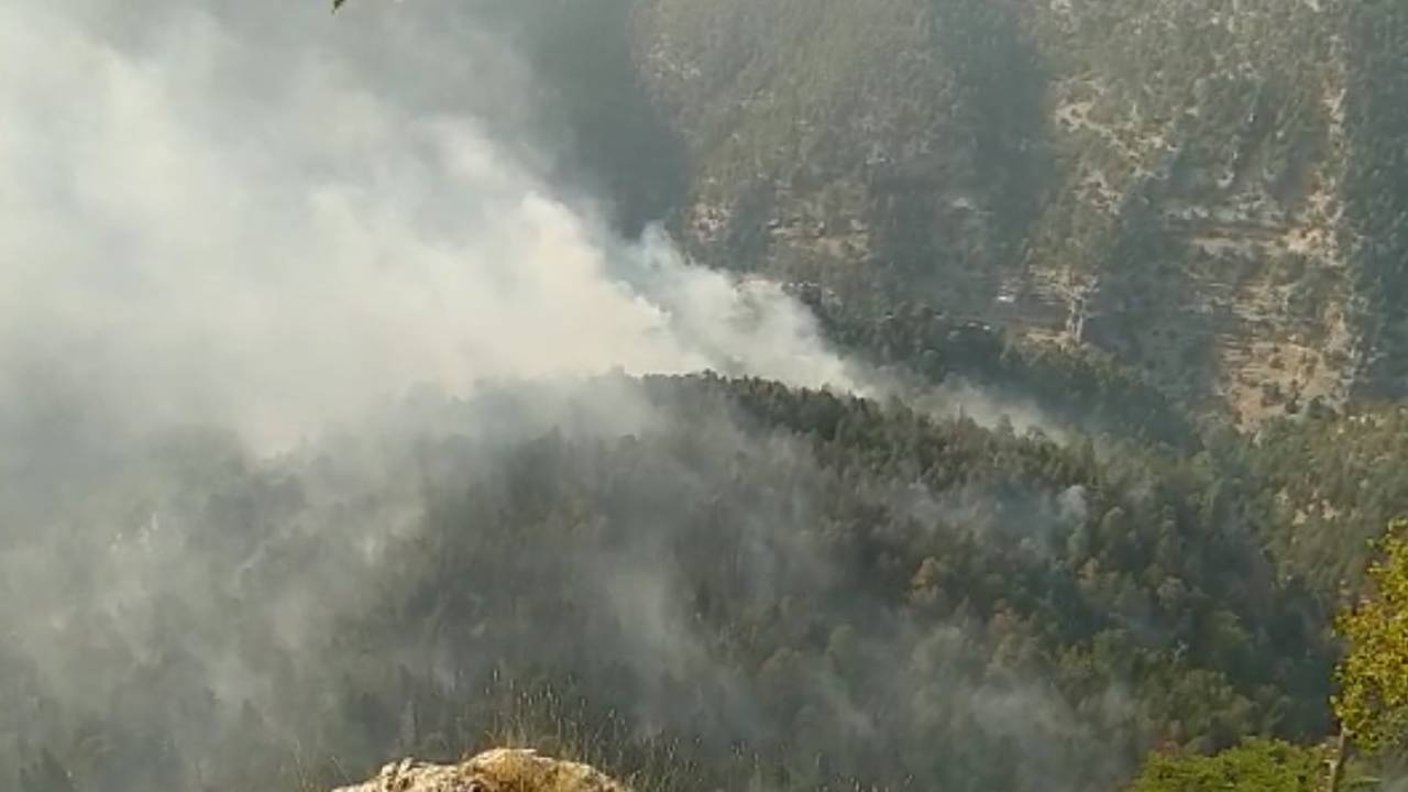 Mersin'deki Orman Yangınında 15 Hektar Zarar Gördü