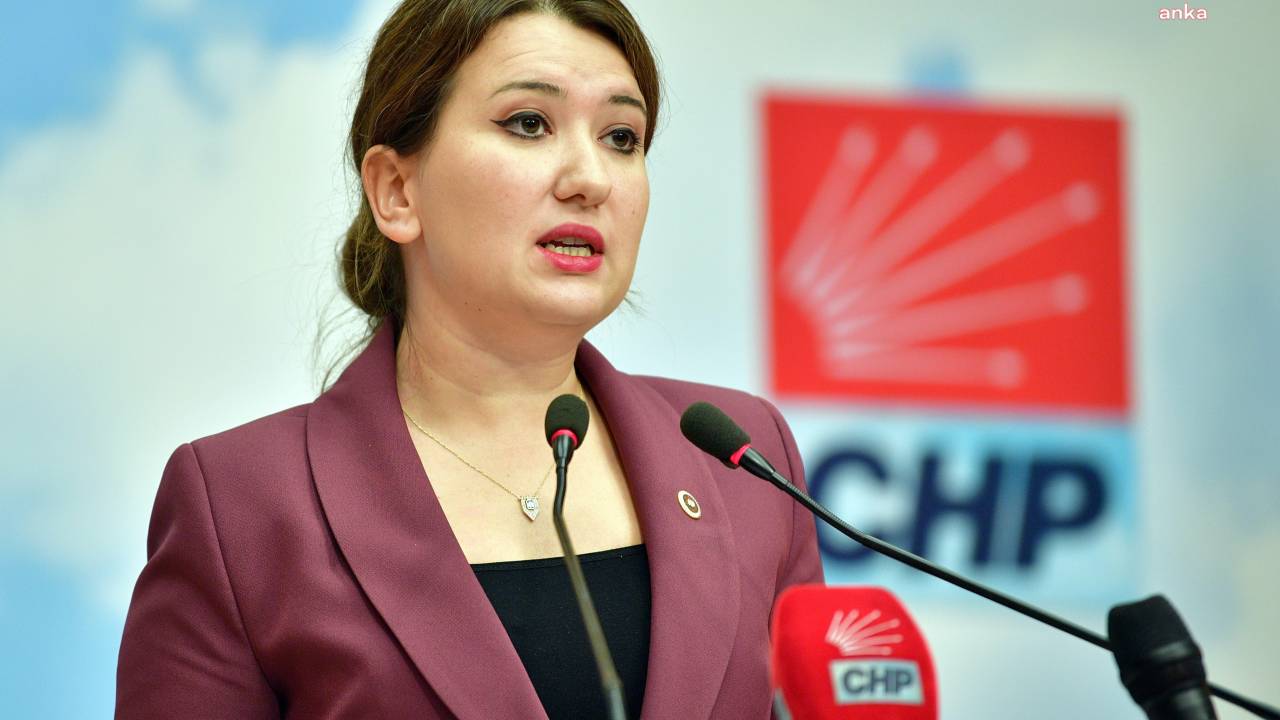 Van Büyükşehir Belediyesi'ne Kayyum Atandı... Gökçe Gökçen: "Kayyum, Van Halkının İradesine Darbedir"
