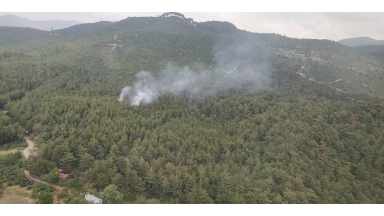 Osmaniye’de Orman Yangını