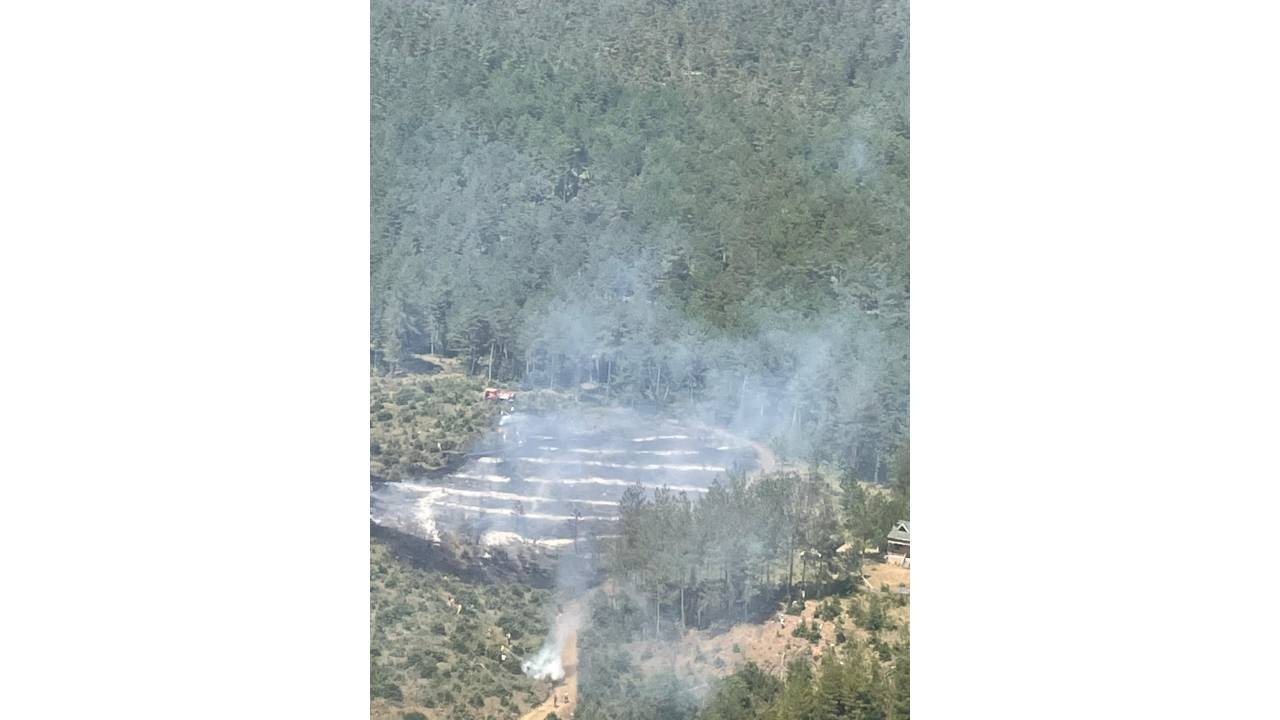 Bursa'da Çıkan Orman Yangını Söndürüldü
