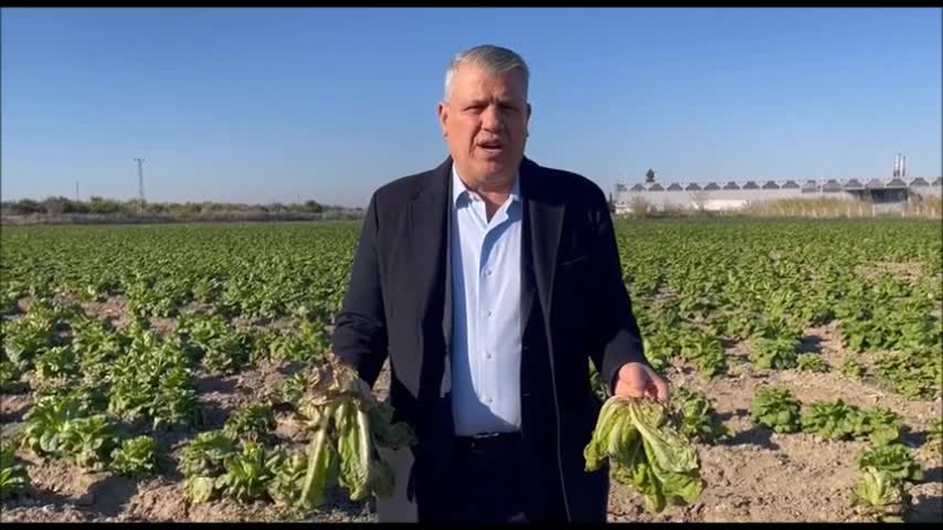 Chp'li Ayhan Barut: "Zirai Don Felaketi Yaşanan Doğu Akdeniz'in Afet Bölgesi İlan Edilmesini Bekliyoruz"