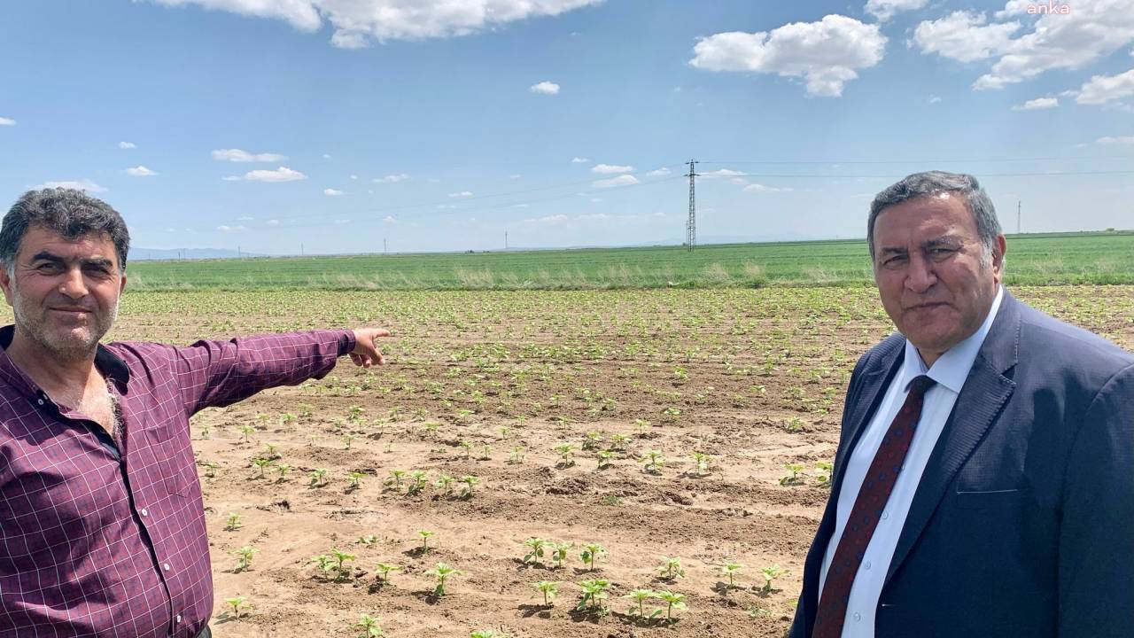 Chp’li Gürer: “Vahşi Sulamadan Bir An Önce Vazgeçilmelidir”
