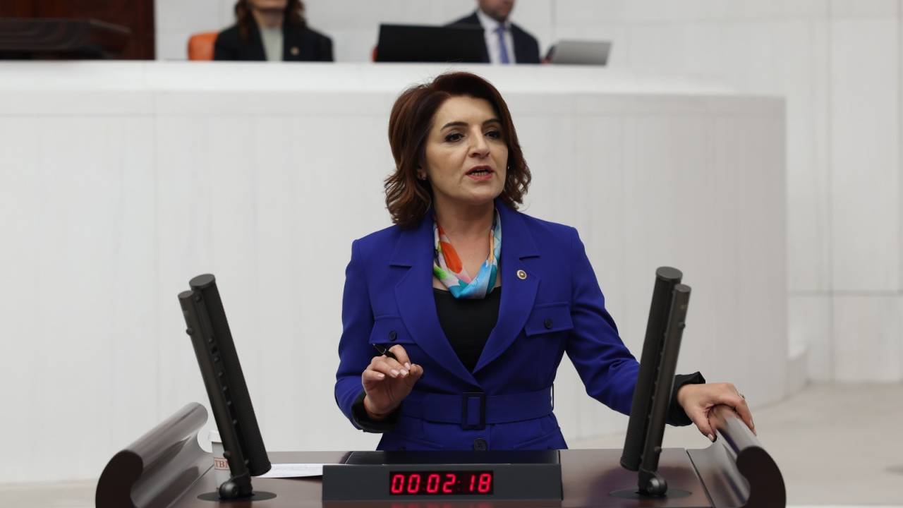 Chp'Li Gülcan Kış: ''şartlı Eğitim Yardımı Yetersiz. Bu Yardımlar Bir Tost Parasına Denk Geliyor''
