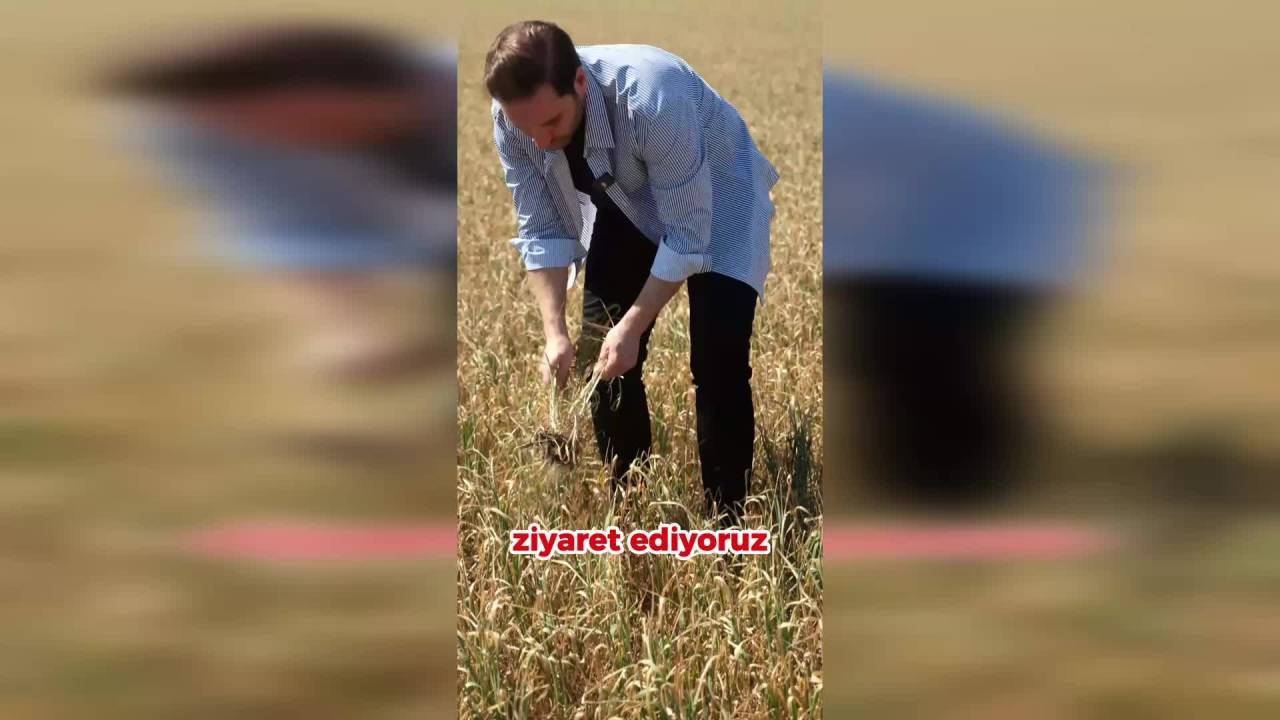 Chp'li Bilici Adana'da Dondan Zarar Gören Çiftçileri Ziyaret Etti: "Çiftçimizin Sesi Duyulmalıdır"