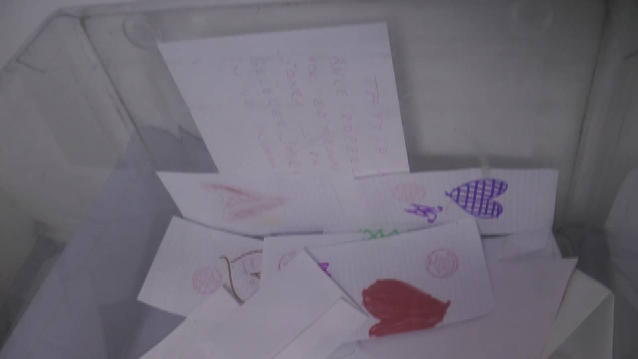 Chp Cumhurbaşkanlığı Adayı Önseçimi... Düzce'de Ekrem İmamoğlu’na Destek İçin Yoğun Katılım