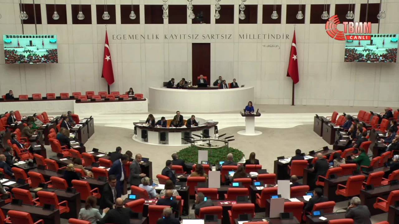 Tbmm Genel Kurulu... Gamze Taşcıer: "Bu Vicdansızlığın Hesabını Halk Sizden Soracak"