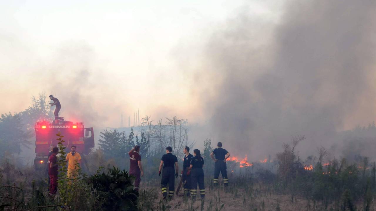 Edirne'de, Meriç Nehri Kıyısında Çıkan Otluk Yangını Söndürüldü