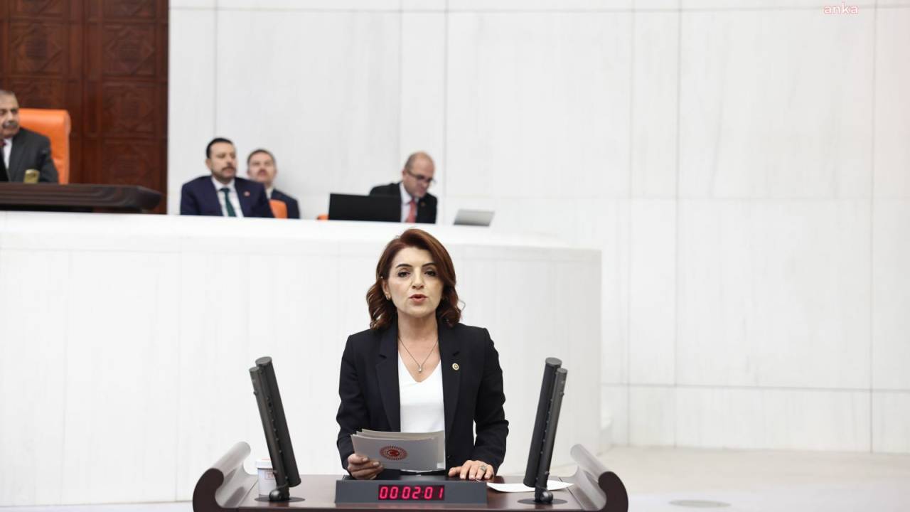 Chp’li Gülcan Kış: “Saray’da Yazılan Politikalar Her Sabah Halkın Sofralarından Bir Tabak Daha Eksiltiyor"