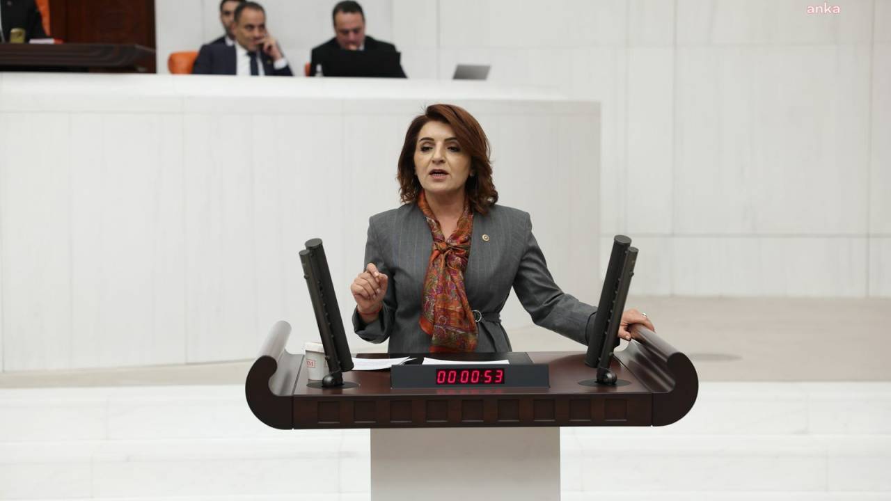 Chp’li Gülcan Kış, Limon İhracatına Getirilen Yasağı Eleştirdi:  “Bu Yasak Çürük”