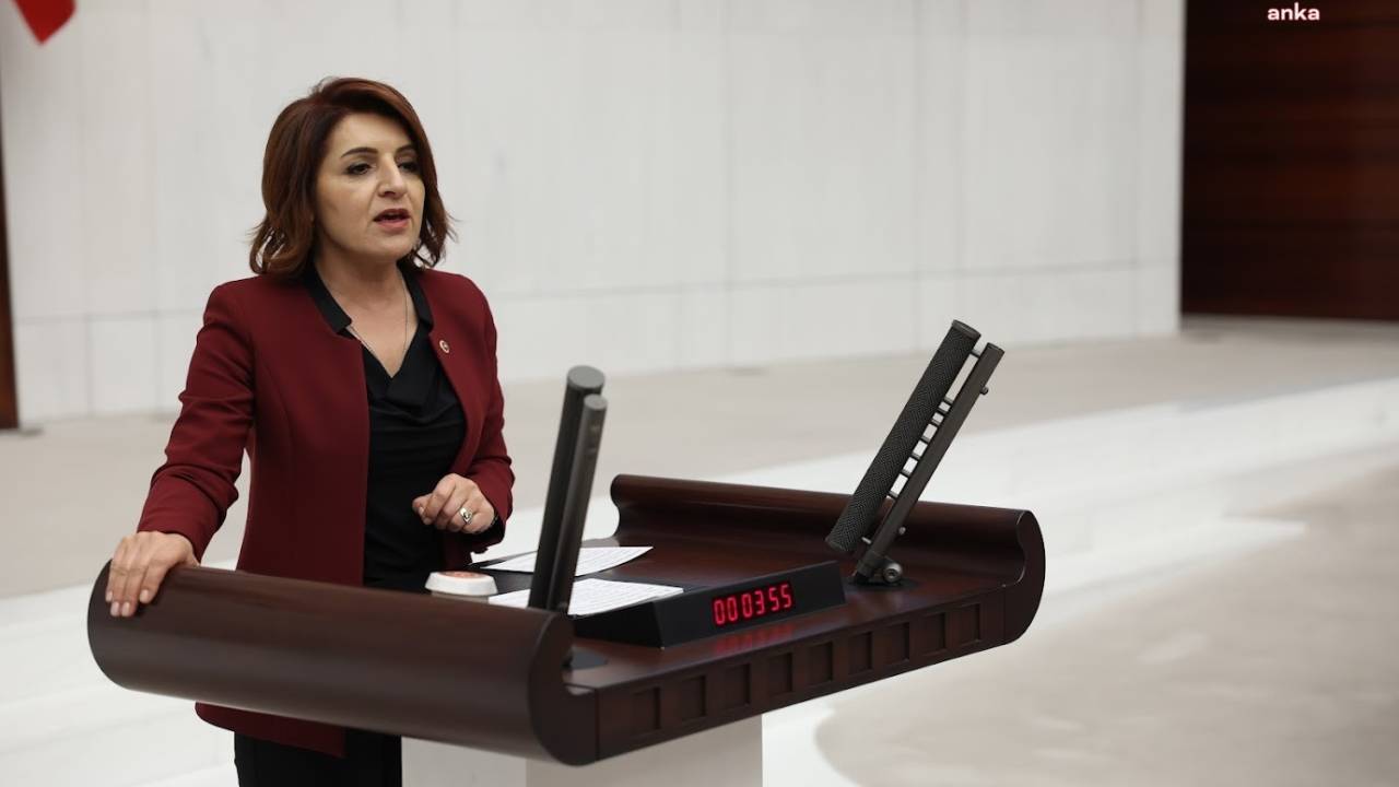 Chp Mersin Milletvekili Gülcan Kış: "Gençliğe Umut Değil, Korku Vaadediyorlar"