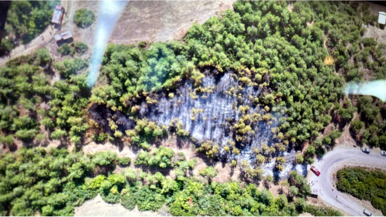 Tokat'ta Orman Yangını; 1 Saatte Kontrol Altına Alındı