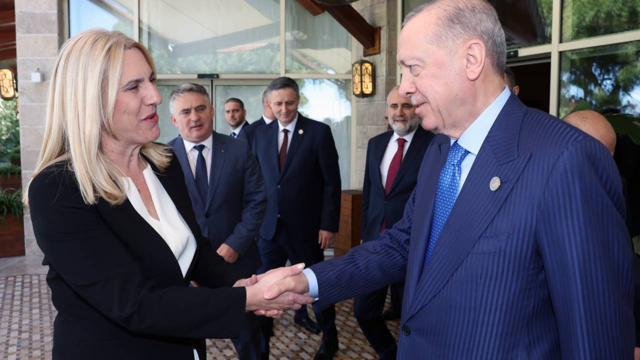 Cumhurbaşkanı Erdoğan, Bosna-hersek Başkanlık Konseyi Başkanı İle Görüştü