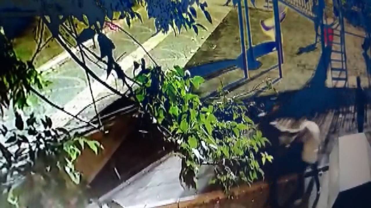 Bağcılar'da Parktaki Cinayetten Yeni Görüntüler