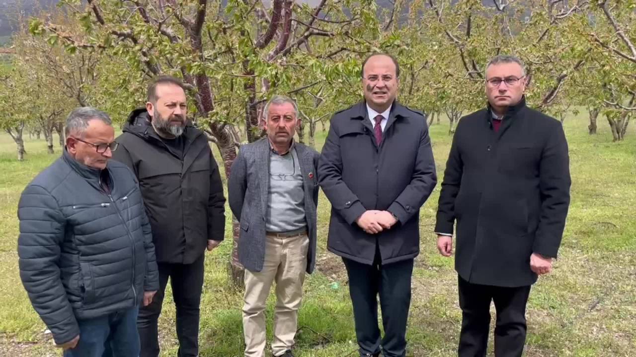 Chp Tokat İl Başkanı Çağdaş Kurtgöz, Don Olayı Nedeniyle Ürünleri Zarar Gören Çiftçileri Ziyaret Etti