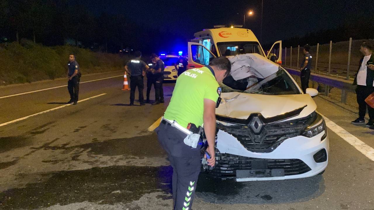 Tem Otoyolu'nda Yolun Karşısına Geçmeye Çalışan Yaya Kazada Öldü
