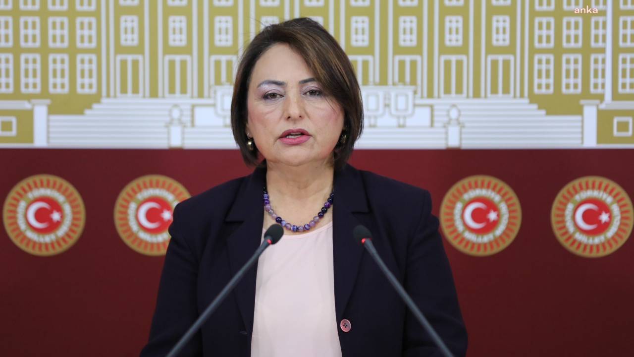 Müzeyyen Şevkin'den 23 Nisan Açıklaması: "Çocuk Bayramında Çalışan Ve İş Arayan Çocuk Sayısı 740 Bin Oldu"
