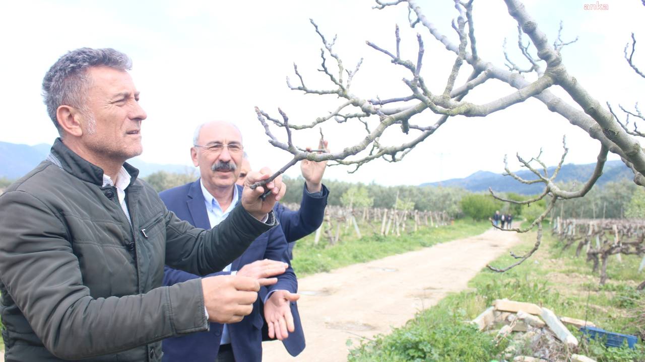 Chp Bursa Milletvekili Sarıbal: Çiftçinin Zor Yılı 2025, Gıdada 'Yok Yılı' Olarak Tarihe Geçecek