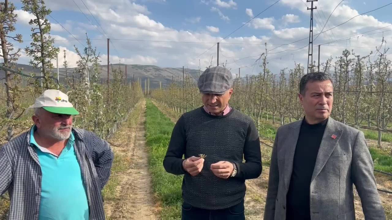 Chp’li Aşkın Genç: "Kayseri'de 250 Bin Ton Hasat Beklediğimiz Elma Bahçelerinde Hiçbir Üretim Alamıyoruz"