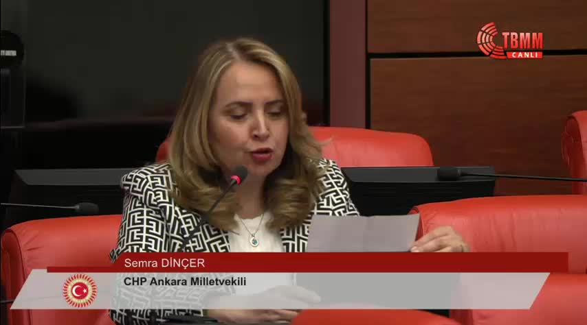 Chp'li Dinçer: "Türkiye’deki Doğurganlık Oranlarının Düşmesinin Sebebi, Akp İktidarının Bizzat Kendisidir"